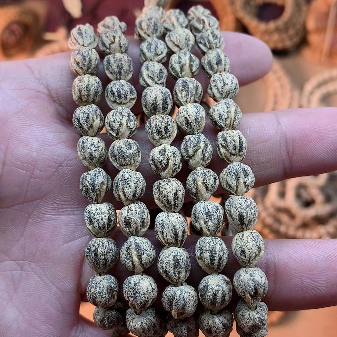 手串柏香籽/百香籽