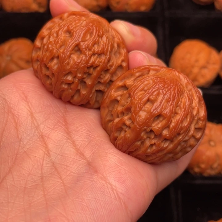 秦岭野生核桃文玩