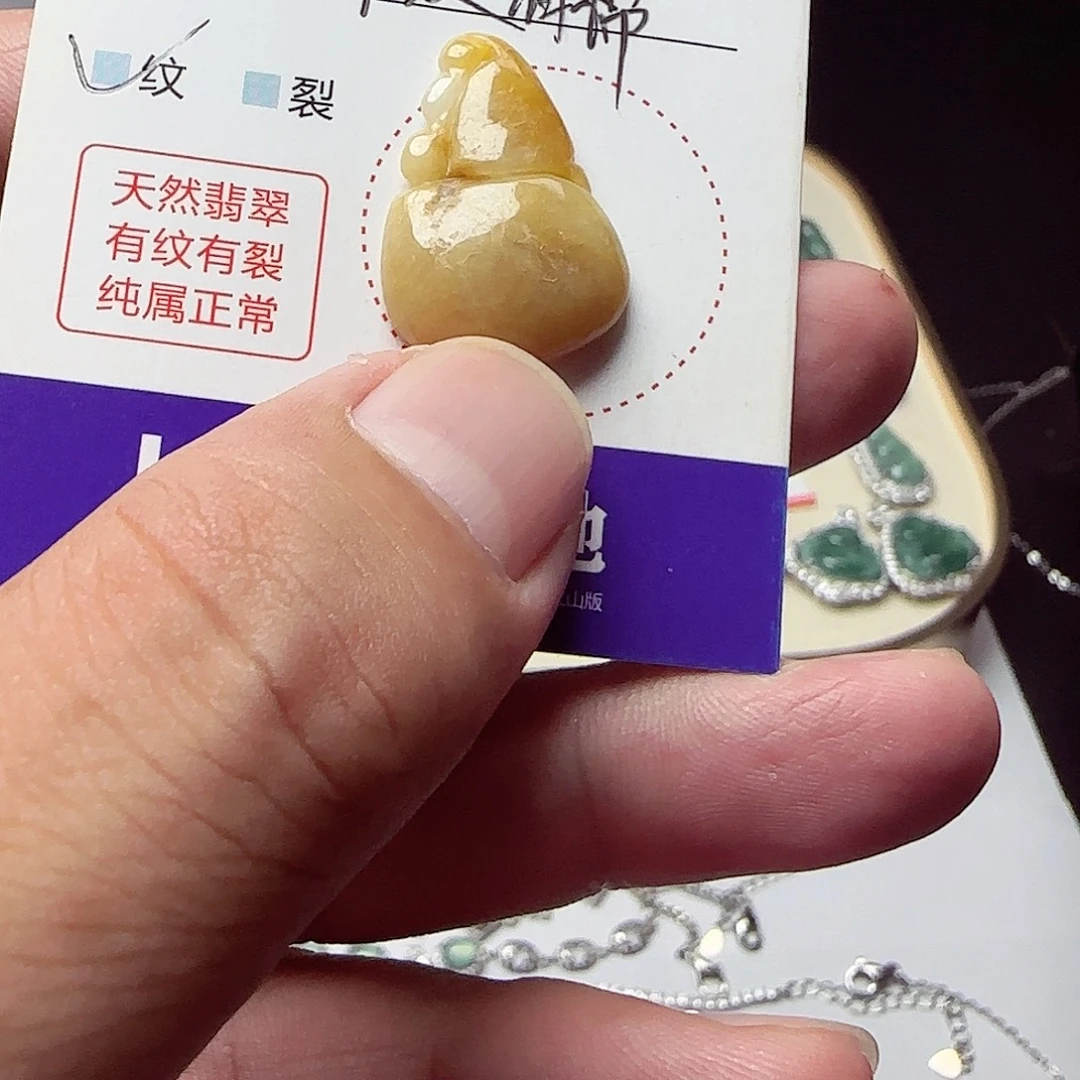 翡翠未镶嵌颈饰1111