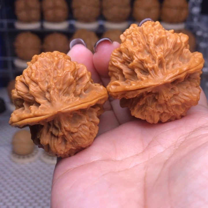 文玩核桃把件30号圣元狮王44尺