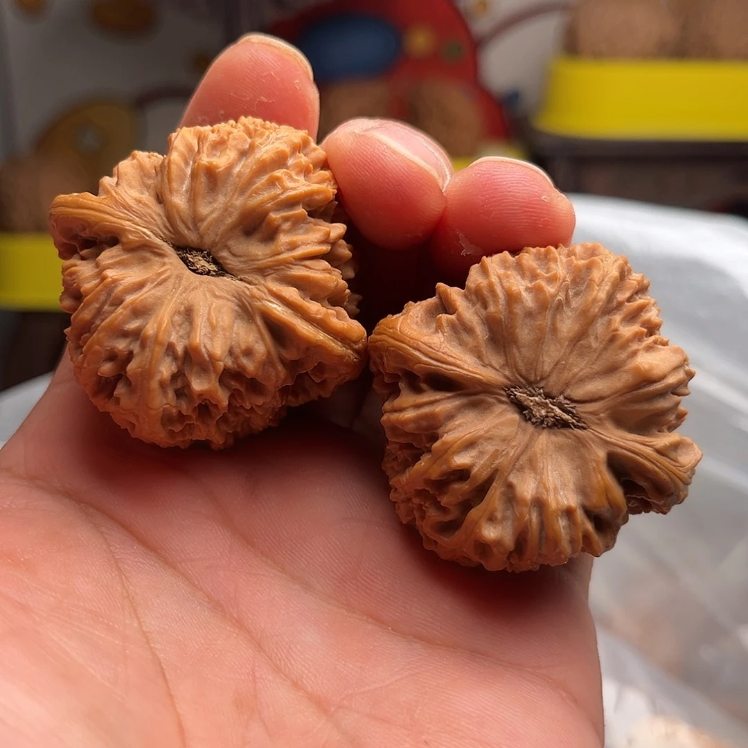 张老三的南疆石1号
