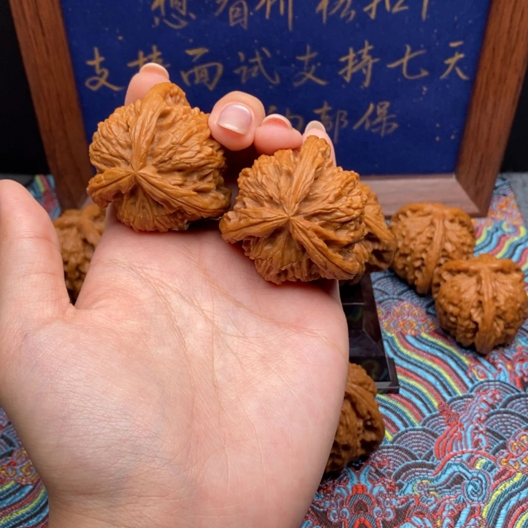 【闪购商品】不****菜白狮