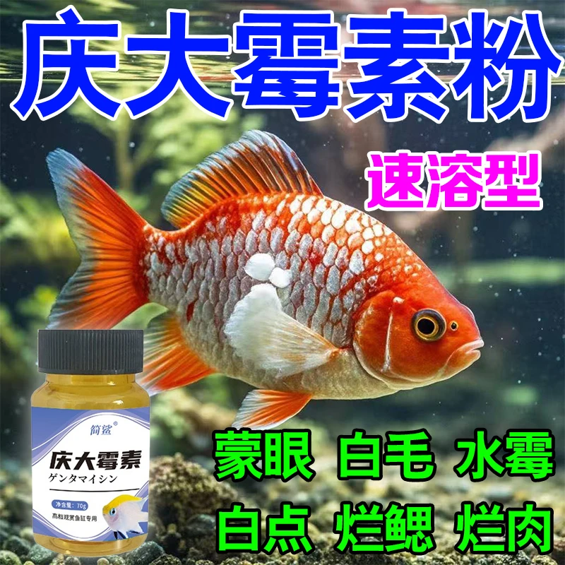 庆大霉素烂尾烂身烂鳃烂鳞趴缸红点白毛充血肠焱不伤鱼养鱼专用