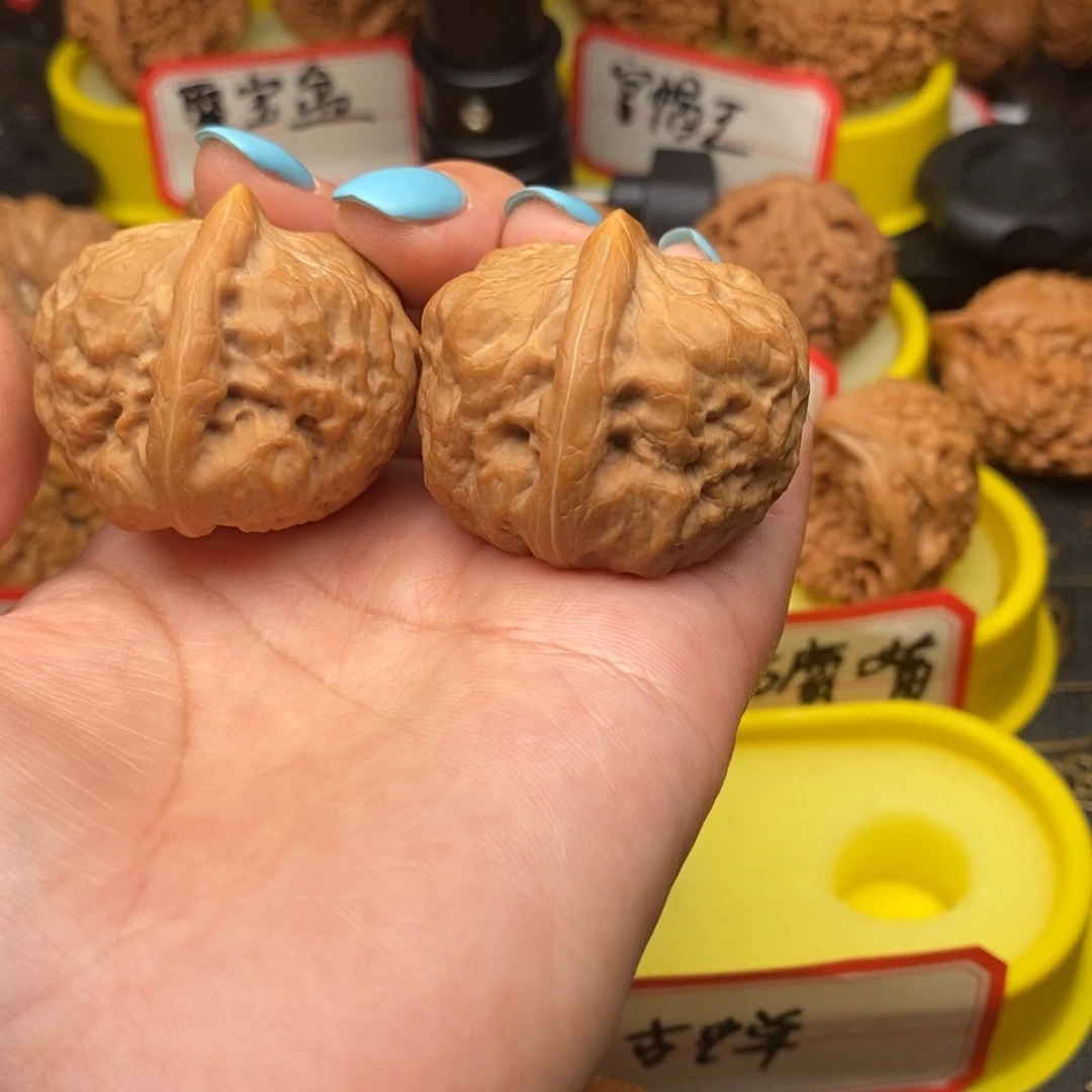 长***茶菩提籽类古蝉蝉蝉