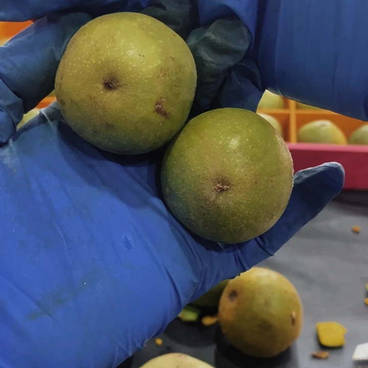 核桃把件三棱核桃