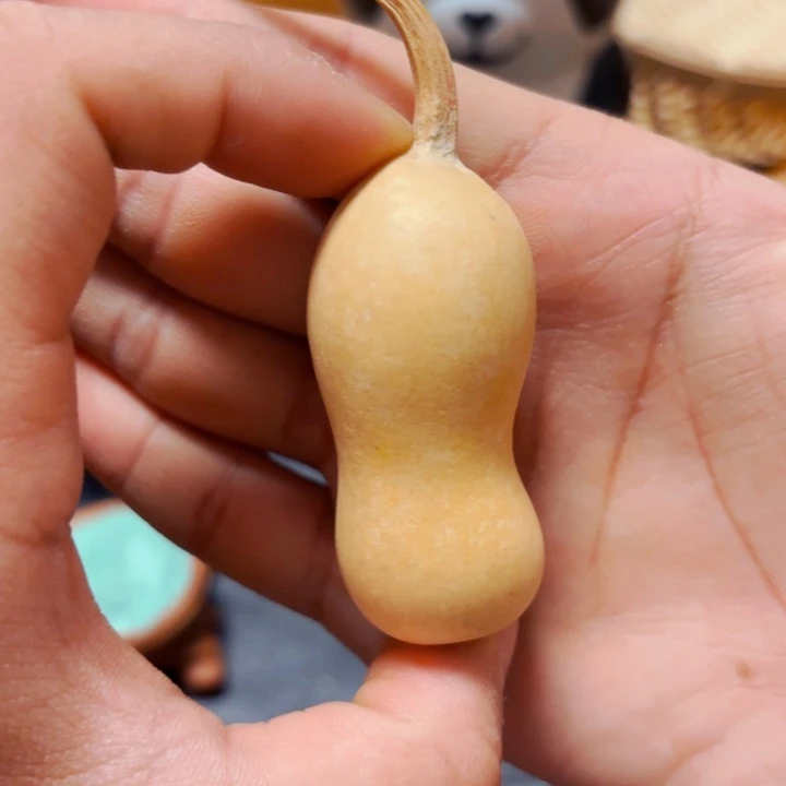 美****人88888888888888888888