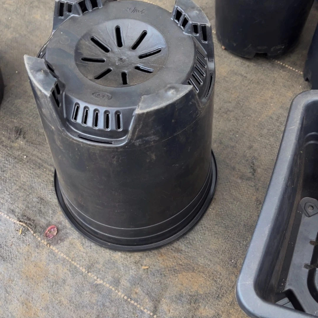 口径24 高度26 加仑盆5个