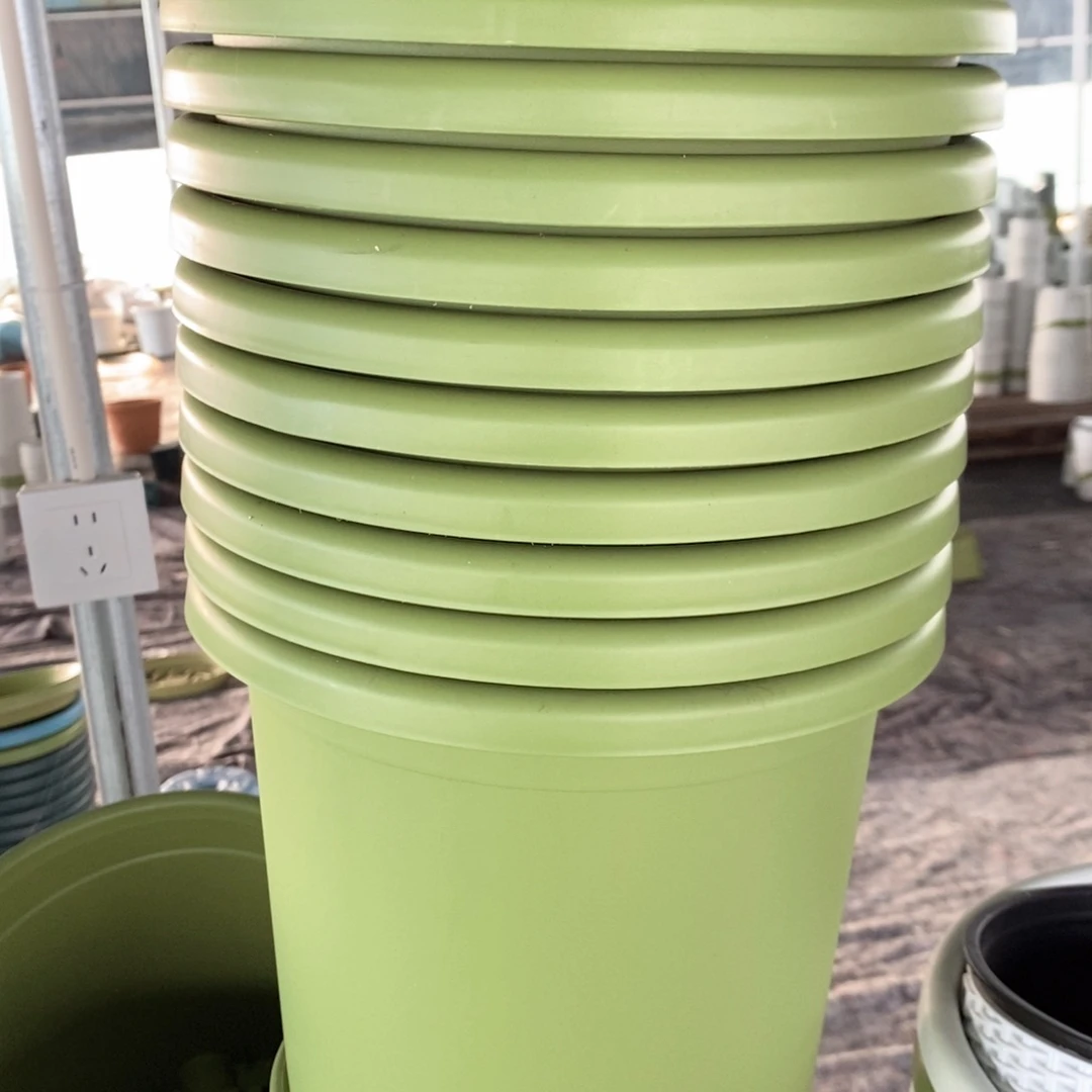 10个25口果绿无托