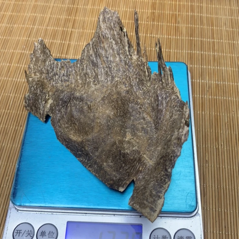 港香老头吊齿13.6克