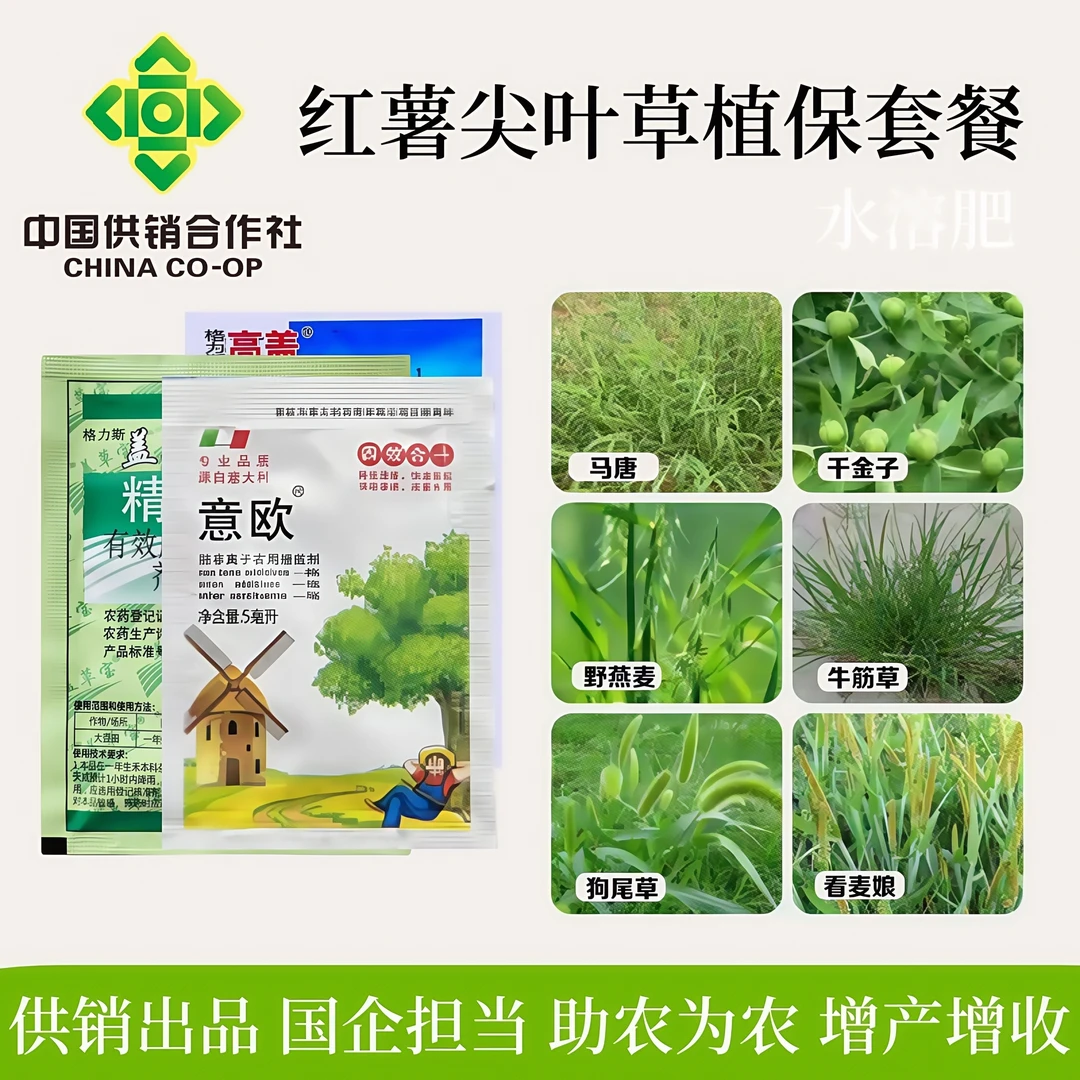 尖叶草植保套餐红薯田马唐狗尾草牛筋草专用增效水溶肥禾本科杂草