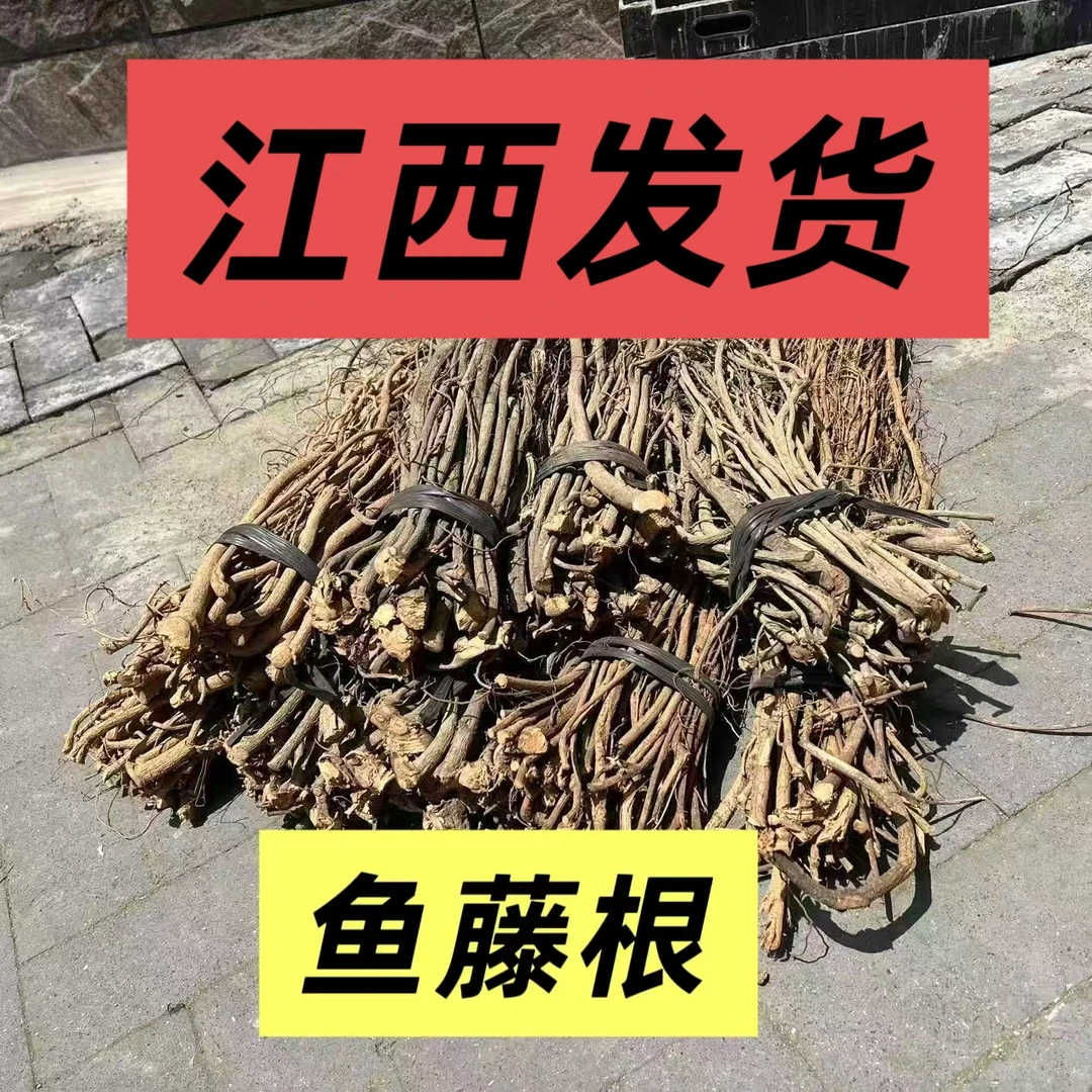 新鲜于藤根 渔藤根 鱼藤(根)一整箱批发鱼藤精