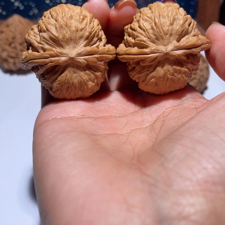 手串/手链核桃40白狮子