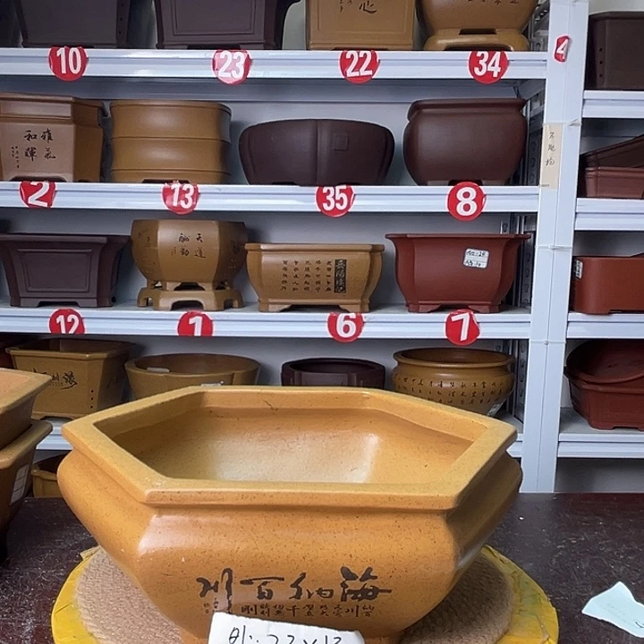 紫砂花盆你在一起