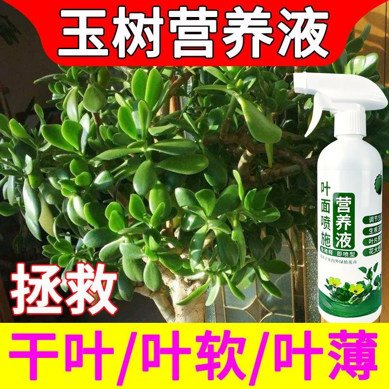 玉树营养液促生长防黄叶烂根免稀释植物通用多肉营养液养花专用