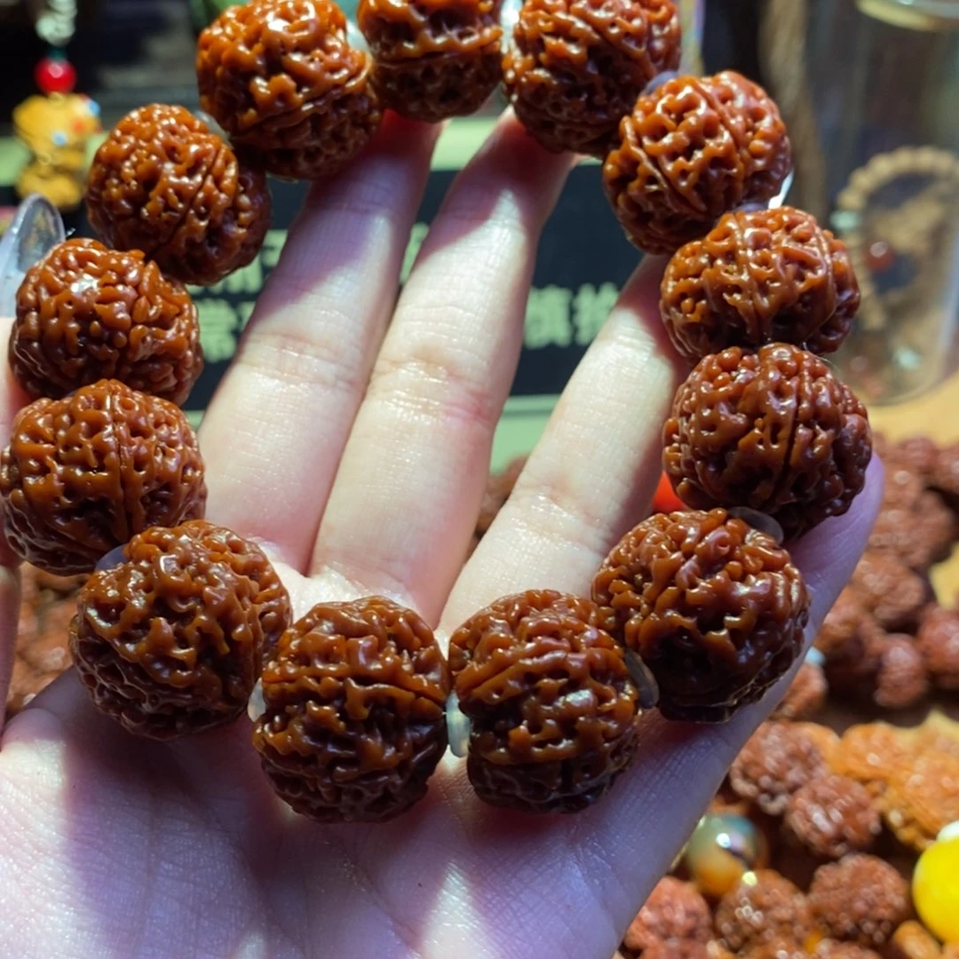 手串金刚菩提226原生态