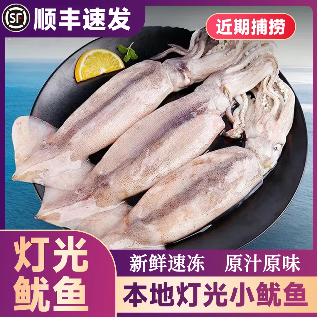 深海鱿鱼原汁原味速冻灯光小鱿鱼四斤每斤2-3条左右不泡水不泡药