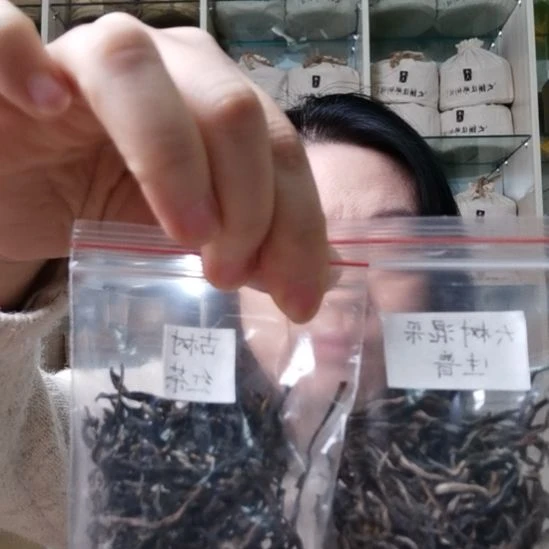 国画云南古树红茶，大树混采生普各十克试喝