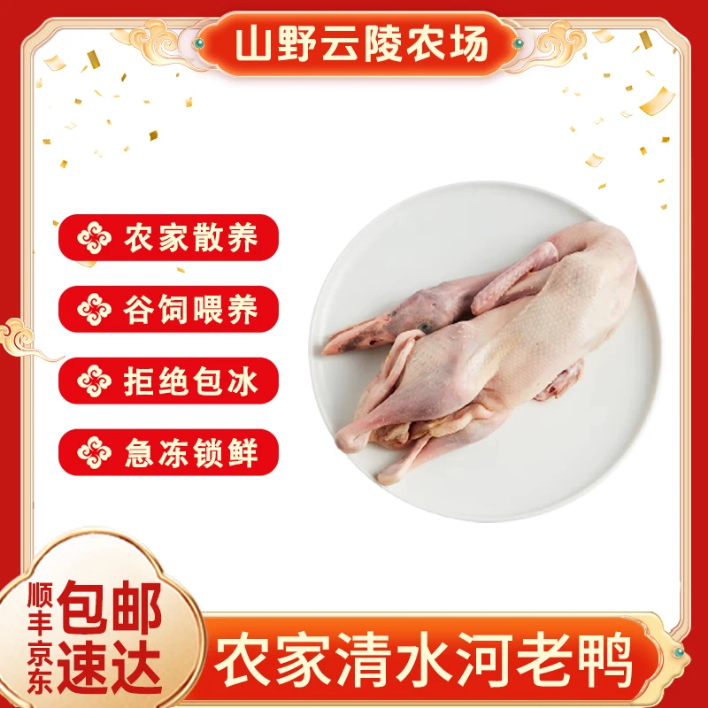 山野云陵农场散养清水河老鸭子2斤/只(胗,肝,心,都在)农家放养