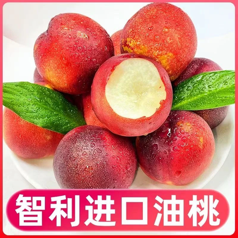 【油桃】智利进口油桃脆甜桃子新鲜水果大果装包邮G油桃