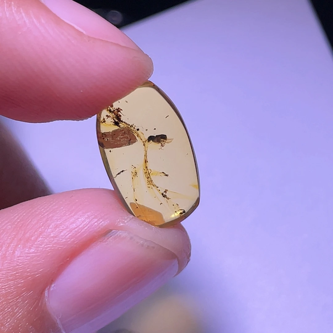 琥珀裸石未镶嵌，