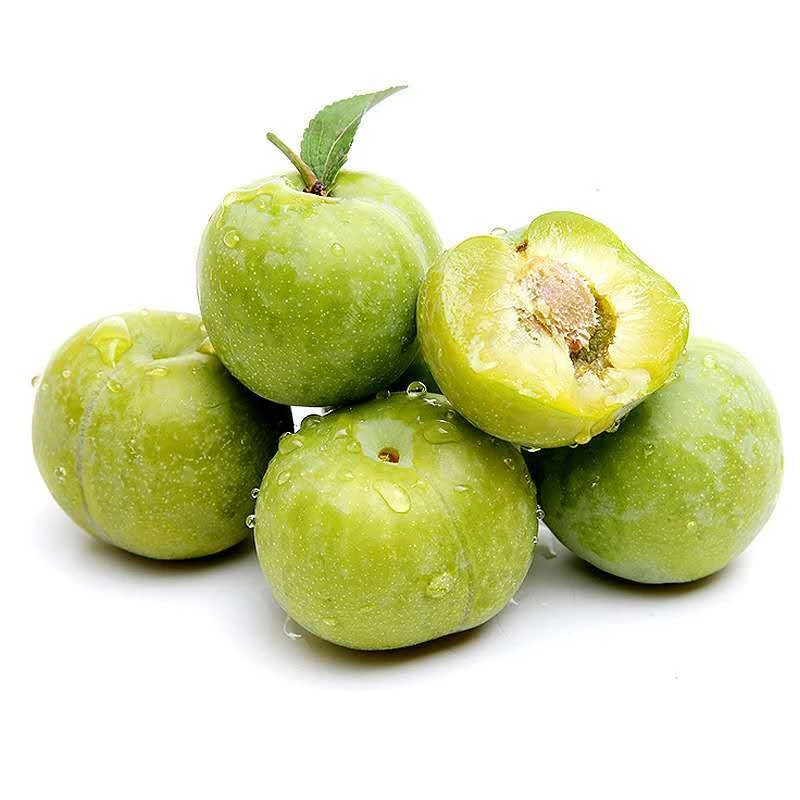 【青脆李】脆李子酸甜李子应季水果新鲜水果顺丰包邮