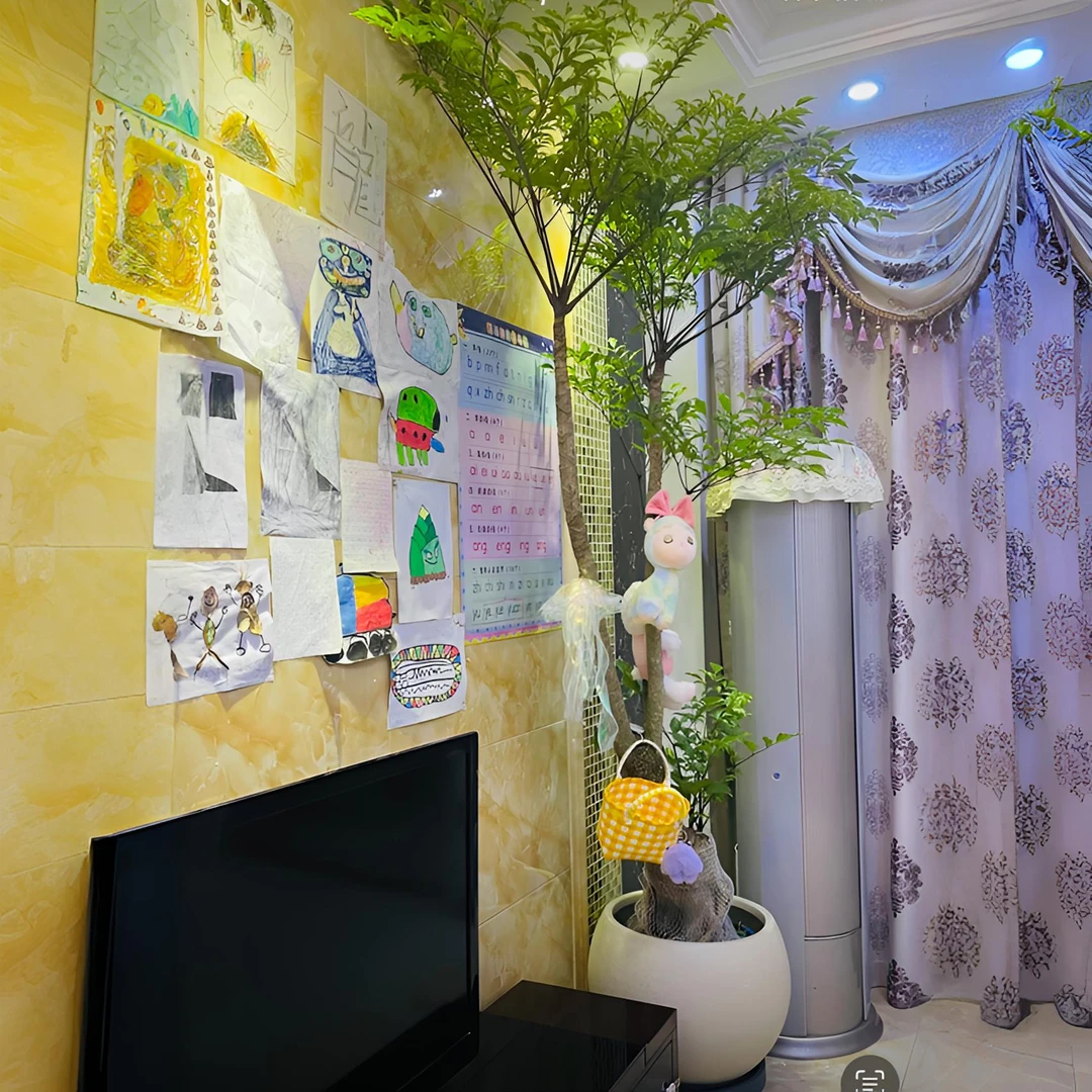 【提根幸福树】幌伞枫老桩原生提根幸福树四季常青网红室内轻奢绿植