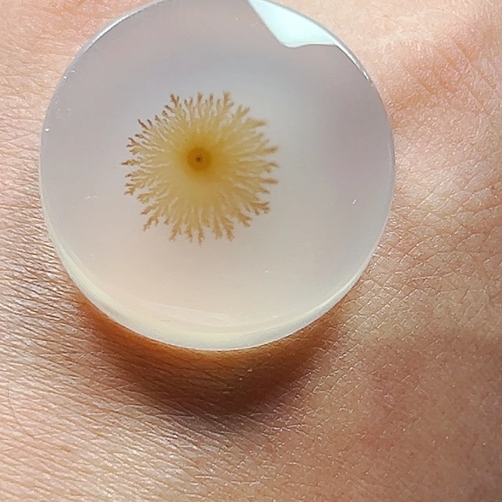 晴***。未镶嵌玛瑙/玉髓珠宝半成品