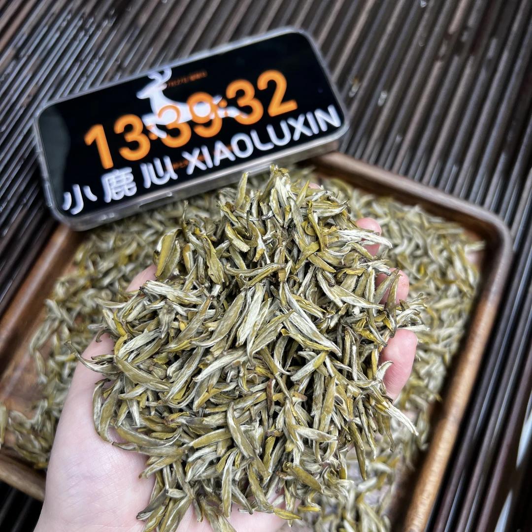 茉莉金龍毫 小鹿收茶 茉莉花茶 7月27