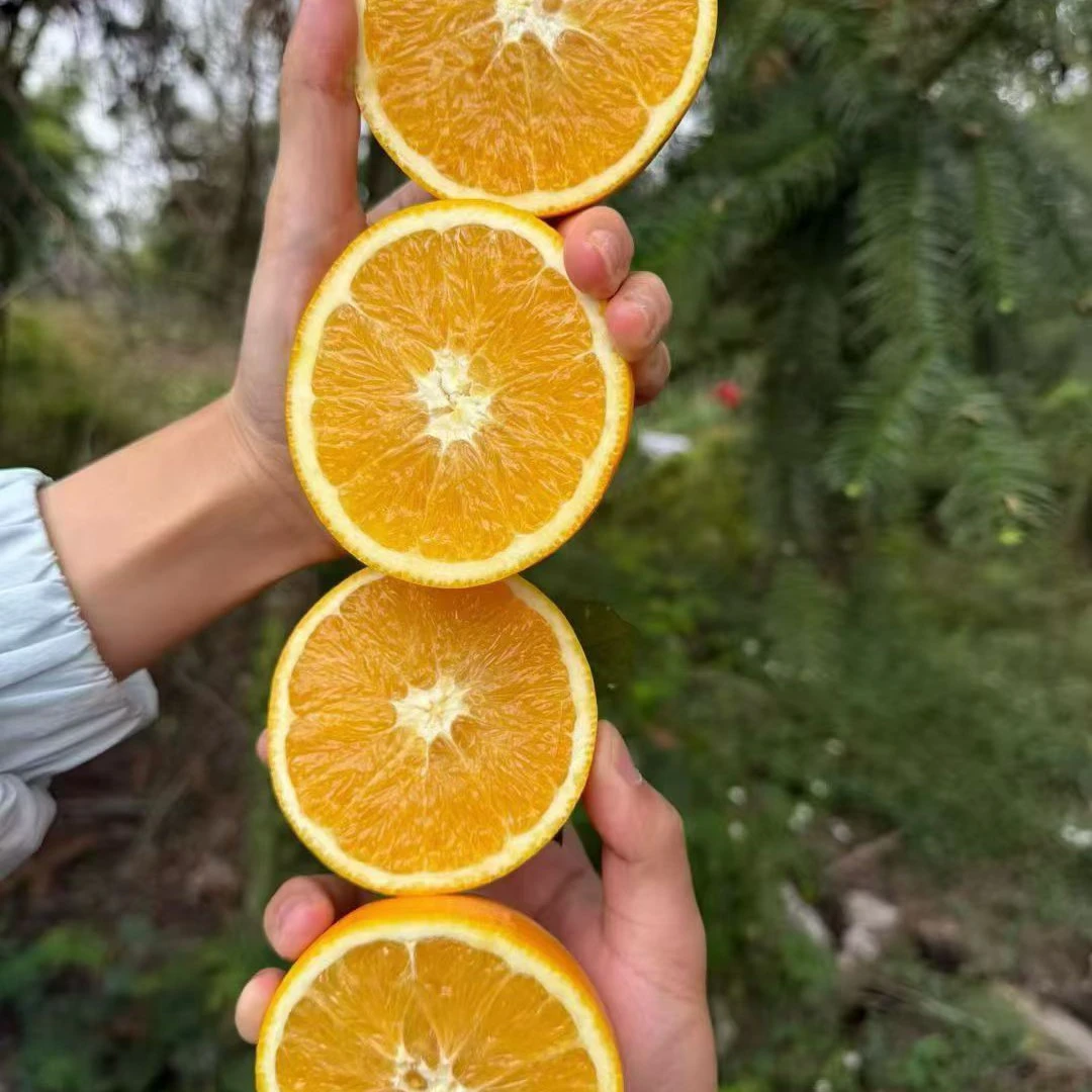 赣南脐橙正宗江西新鲜橙子10斤大果当季水果孕妇甜橙