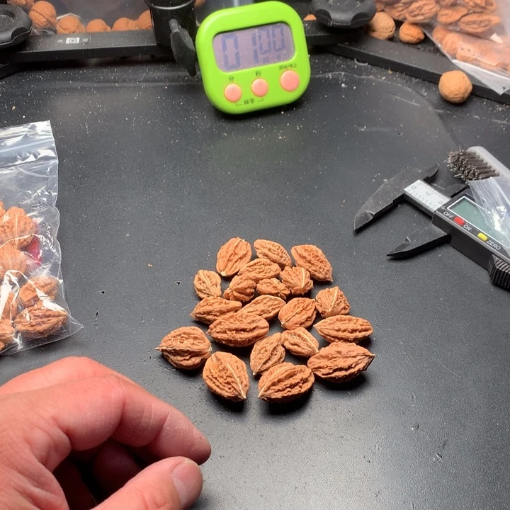 文玩核桃吊坠@**@野生精品小核桃散籽