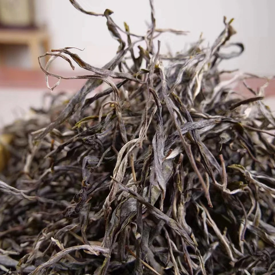 生茶 小户赛【大树】春茶  2023年普洱