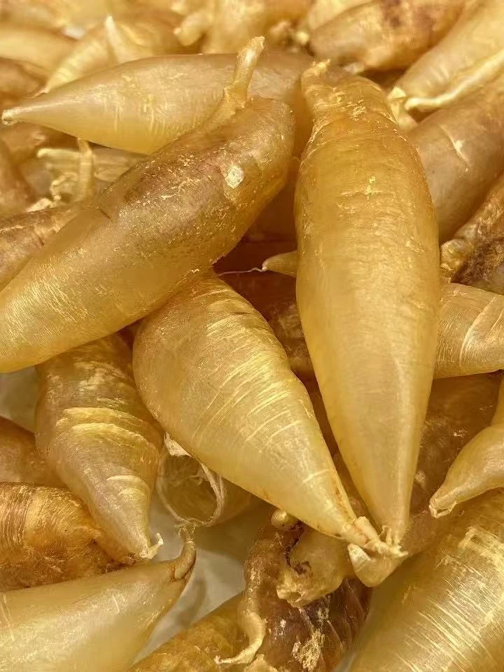 【赤嘴世家】广东鱼胶 北海母筒23头左右