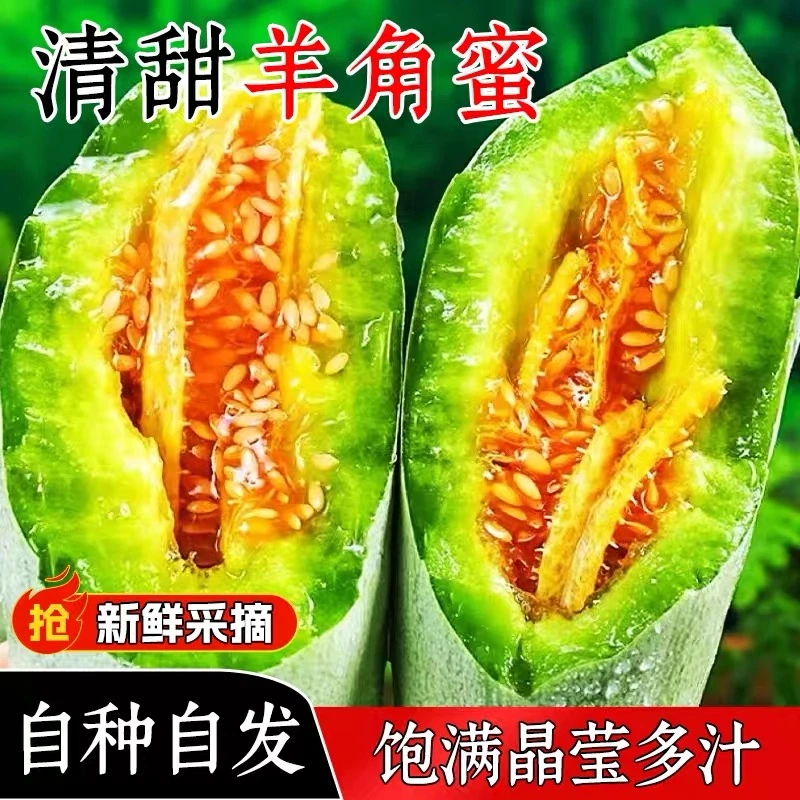 云南头茬羊角蜜甜瓜新鲜当季脆甜多汁水果包邮