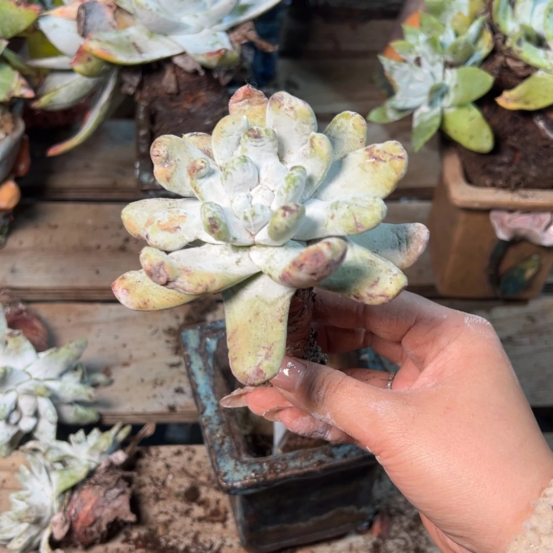 3548哈哈哈哈哈哈哈哈哈哈