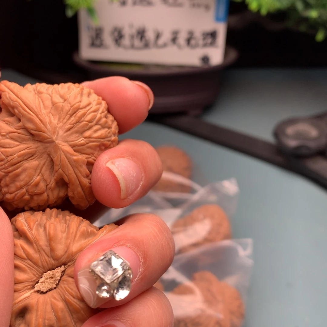 文玩核桃把件全品白狮子4445