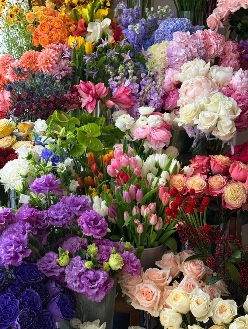 【鲜花组合】紫霞10枝+紫精灵10枝+黄莺1扎+辉煌10枝  鲜花礼物