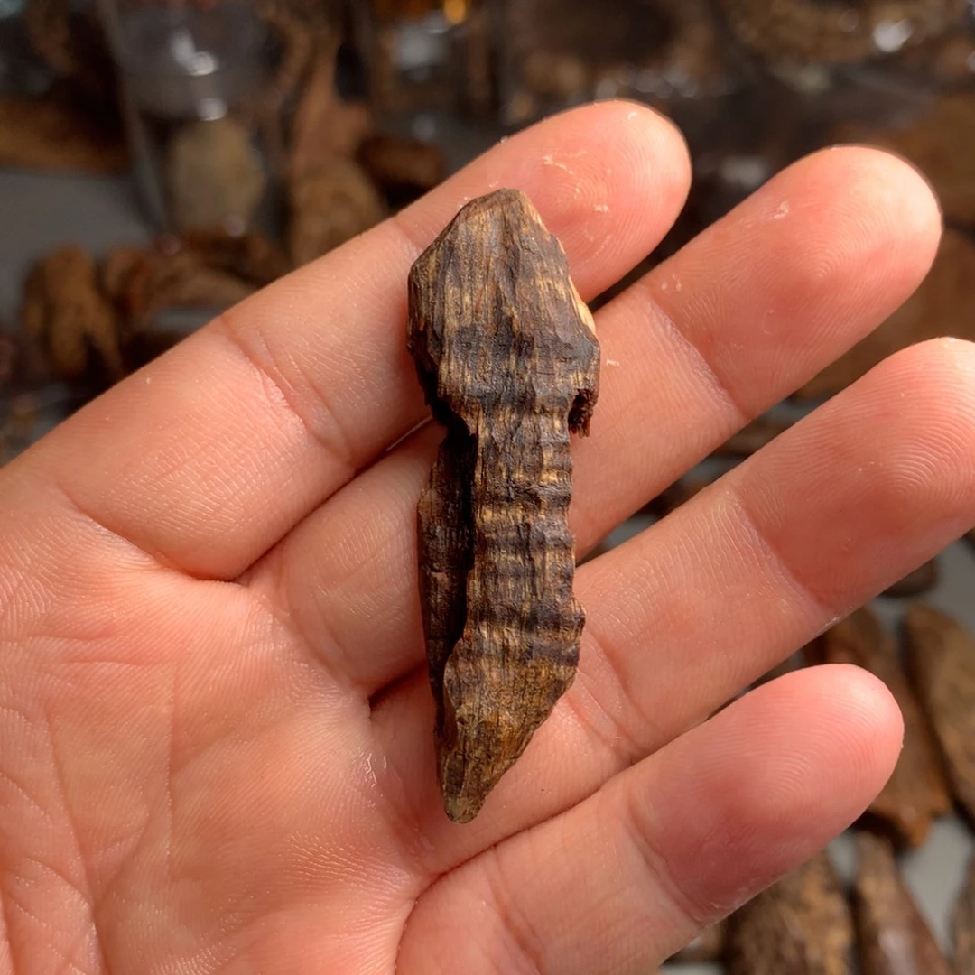 0***8扇子沉香沉香沉香沉香沉香沉香沉香沉香