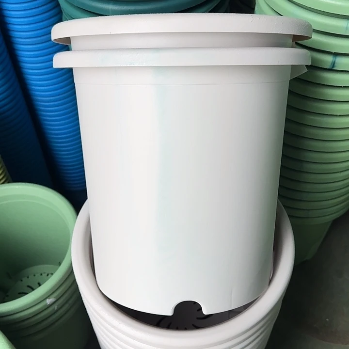 串色8#口径39灰白5个无托