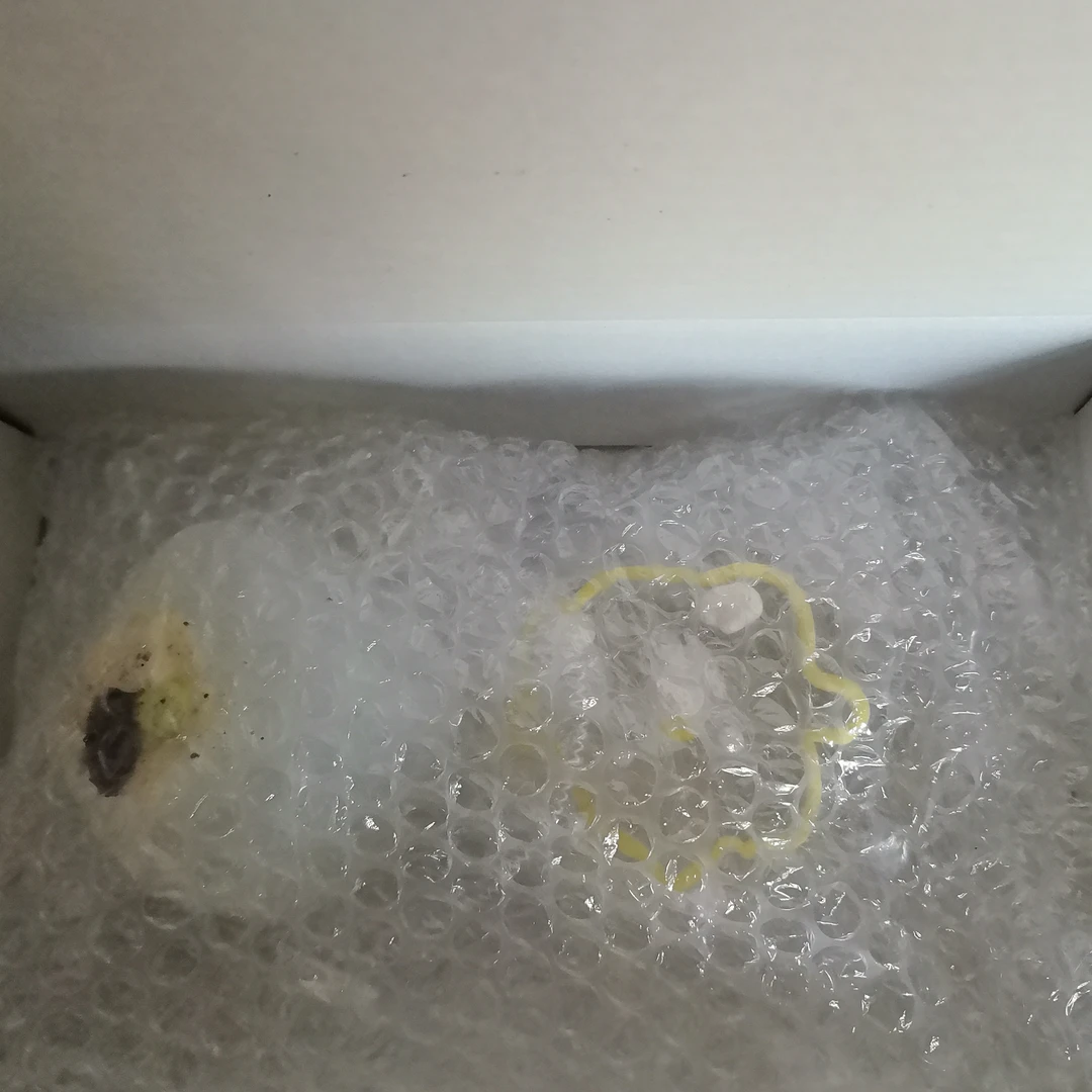 补米～）必须同一账号，方便补米链接