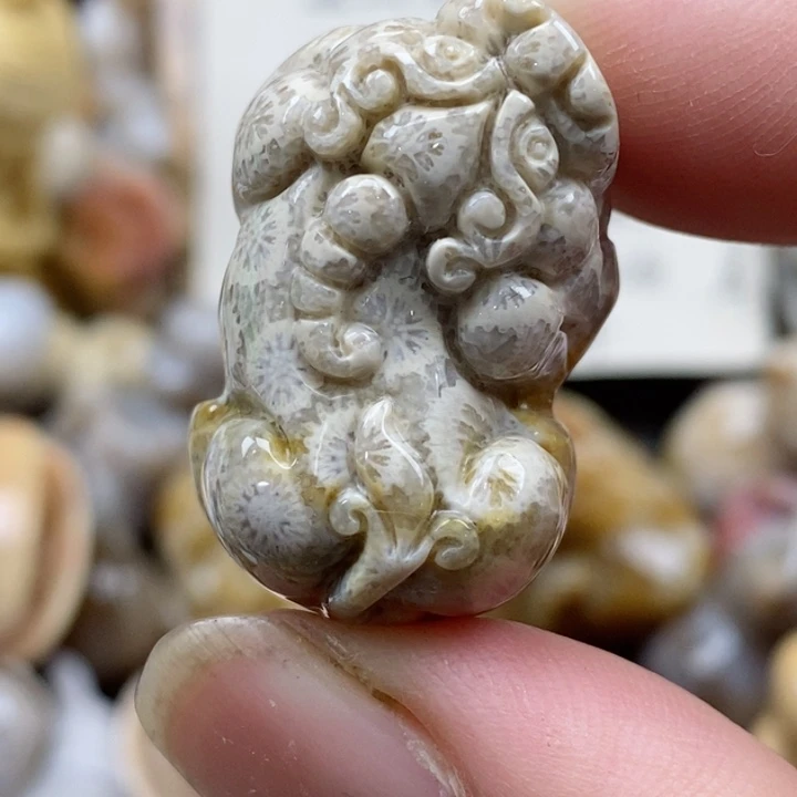 颈饰未镶嵌硅化珊瑚（珊瑚玉）小