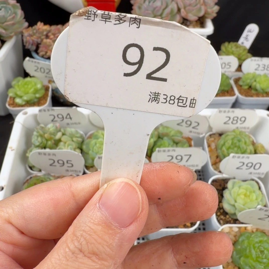 补运链接包邮包装