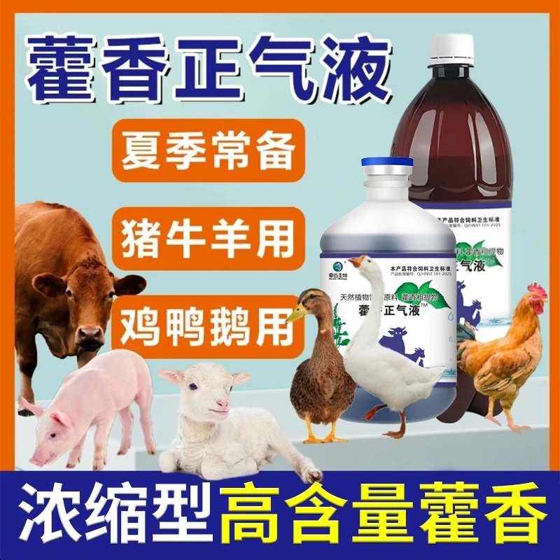 1000ml大瓶藿香正气液防暑降温鸡鸭鹅猪牛羊家禽家畜兽用饲料添加