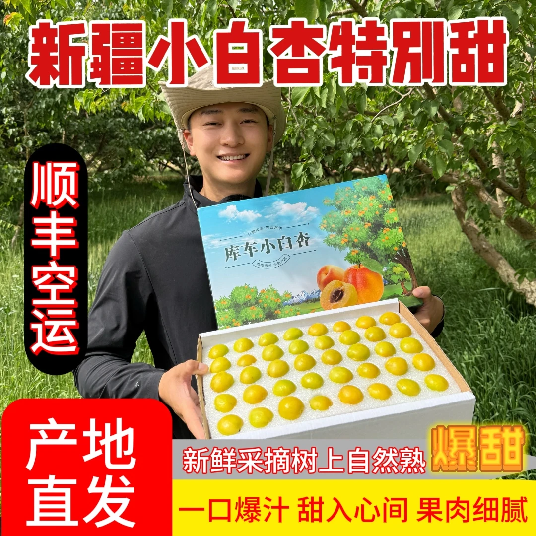 新疆小白杏新疆水果库车轮台杏子应季当季白杏子小红杏顺丰包邮