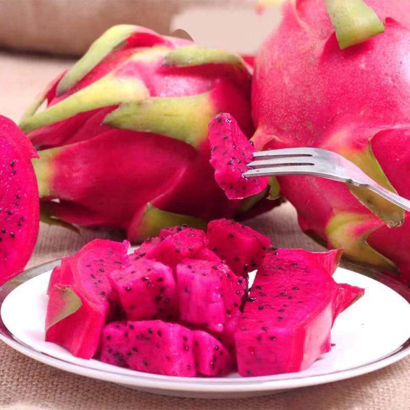 广西金都1号树上熟红心火龙果5斤装 皮薄多汁