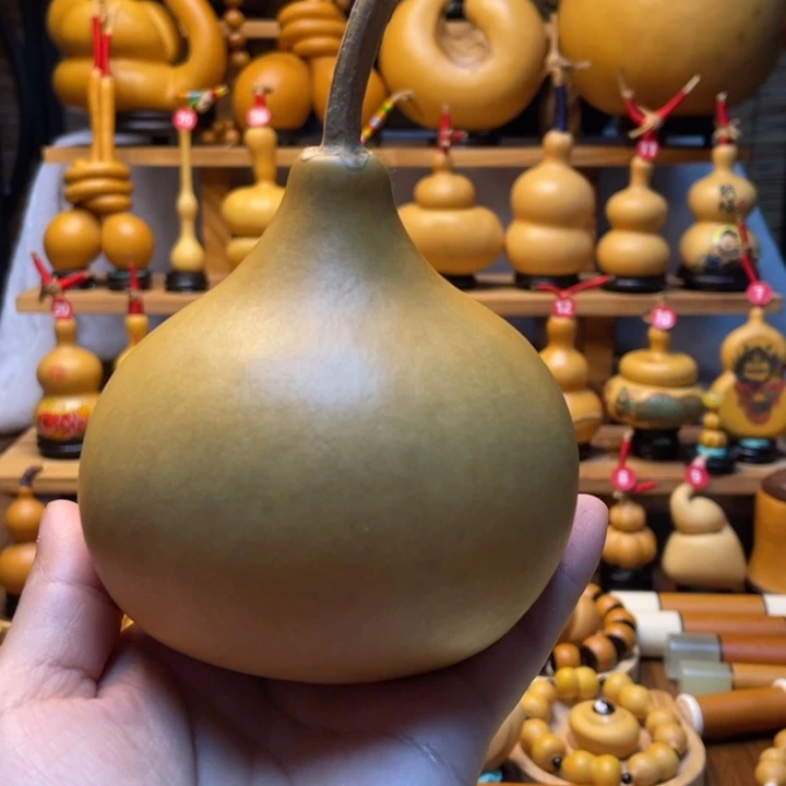 我***海天然葫芦自然生长