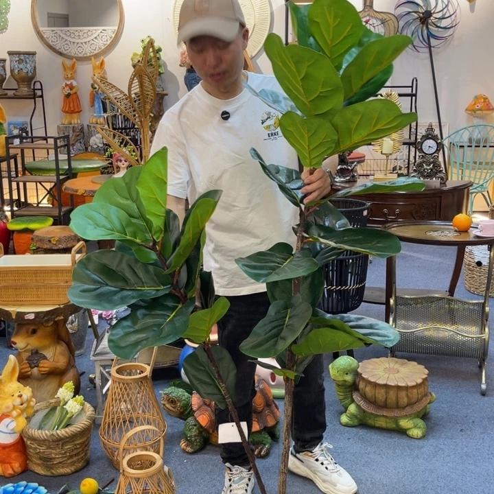 哈哈哈哈哈哈哈哈哈哈绿植