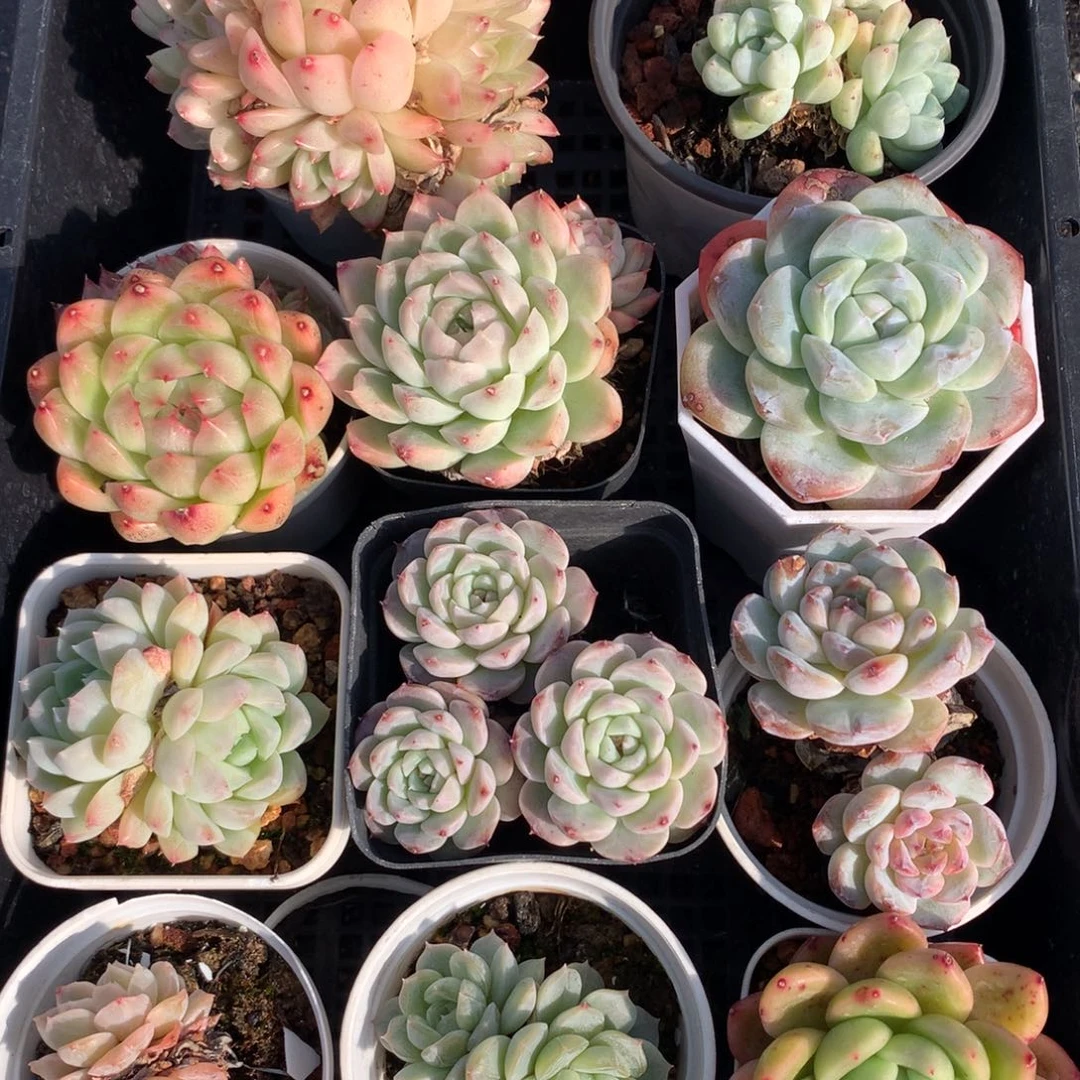 1218-13 套餐一组