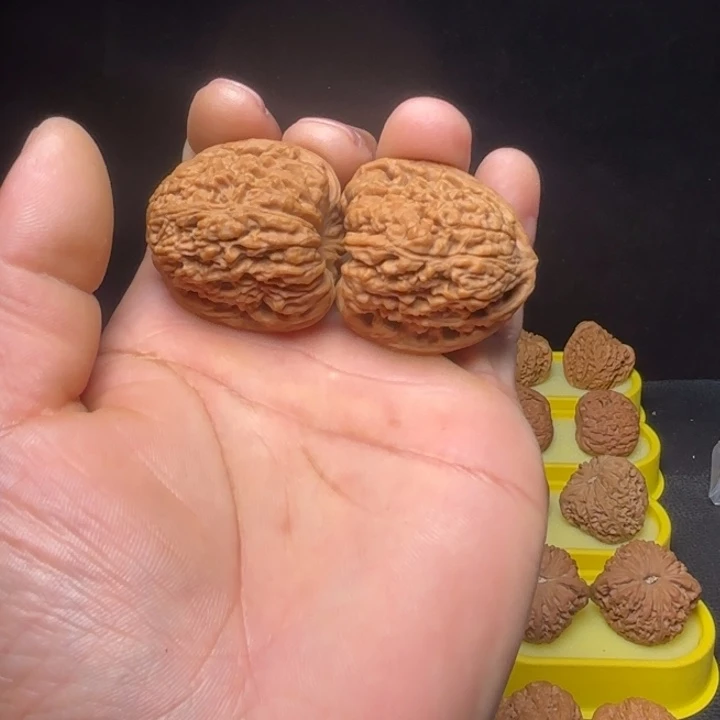 核桃蚂蚁拉丝凹底高炮38尺8