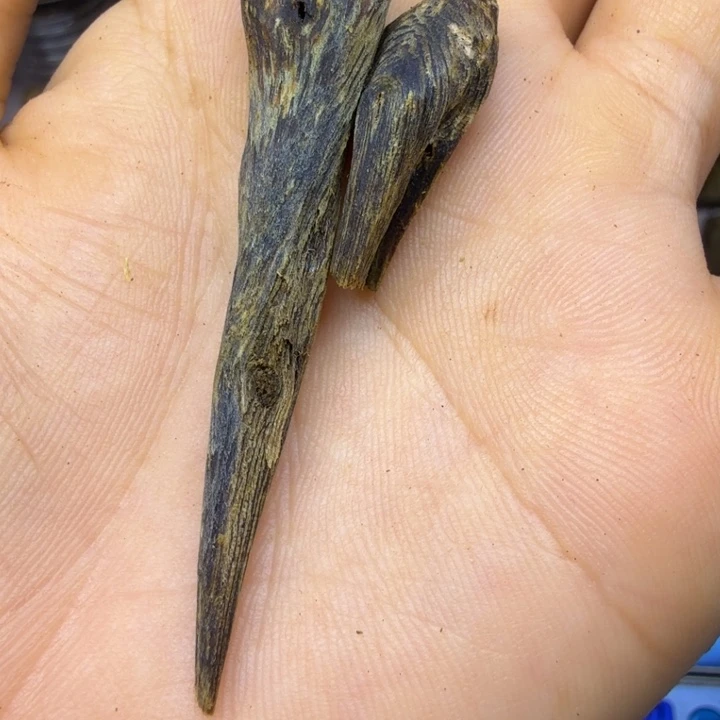 石***志奇楠,大树钉沉水料4克
