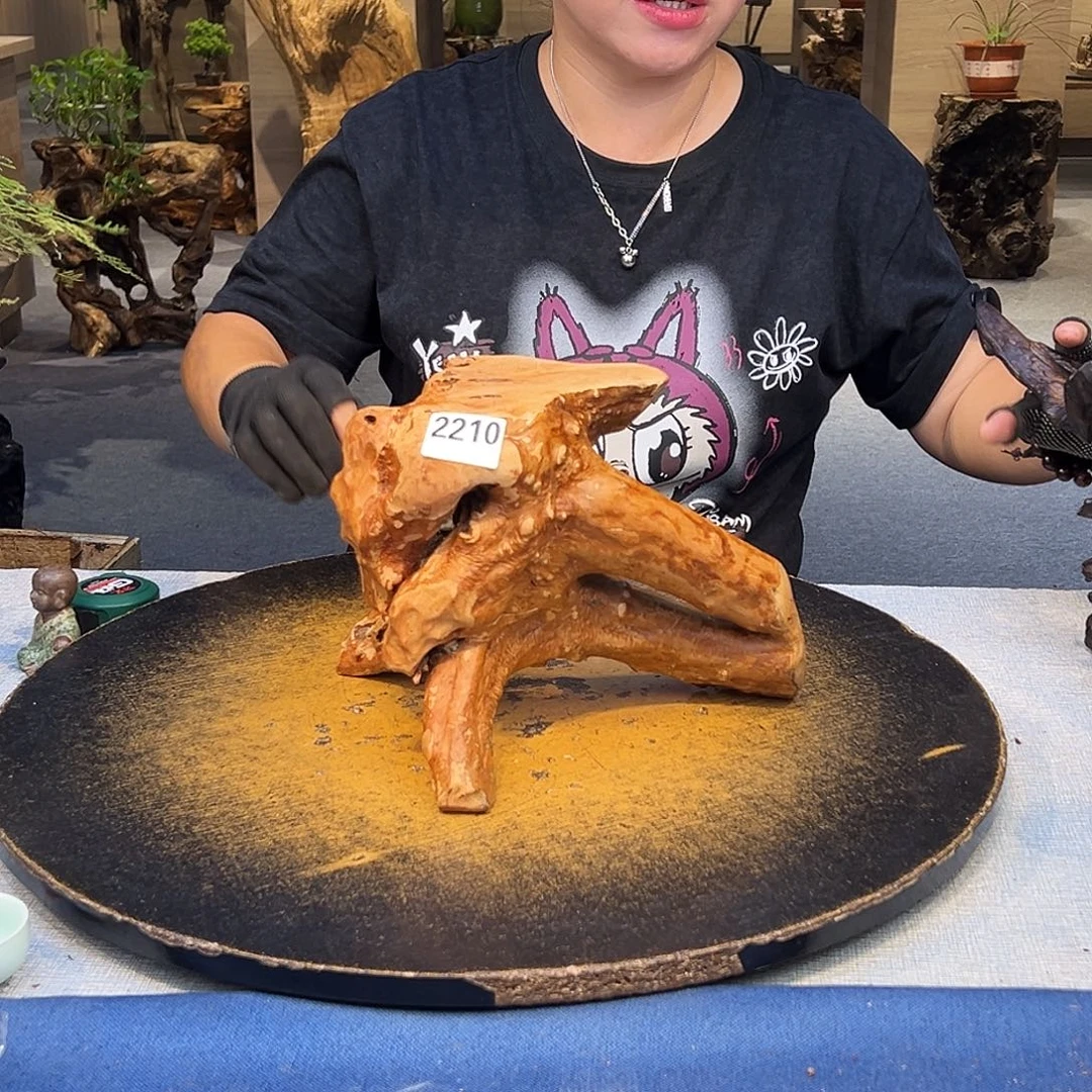 汽***料木2210gggggggggg